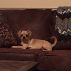 Meet your Posher, Juanita